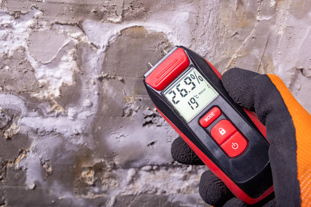 Professional Mold Remediation in Muttontown, NY