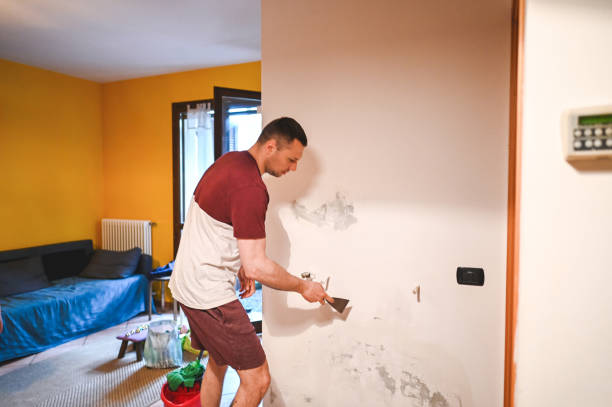 Best Basement Mold Remediation in Muttontown, NY